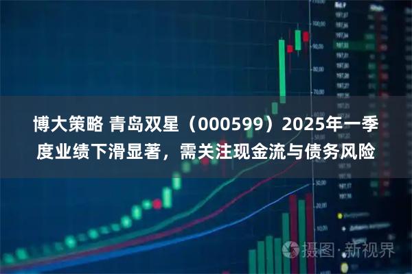 博大策略 青岛双星（000599）2025年一季度业绩下滑显著，需关注现金流与债务风险