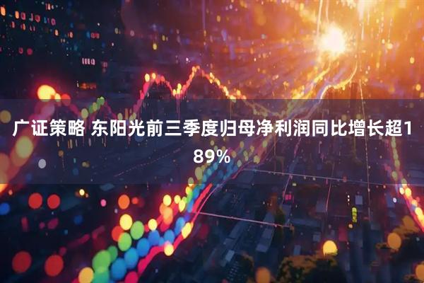 广证策略 东阳光前三季度归母净利润同比增长超189%