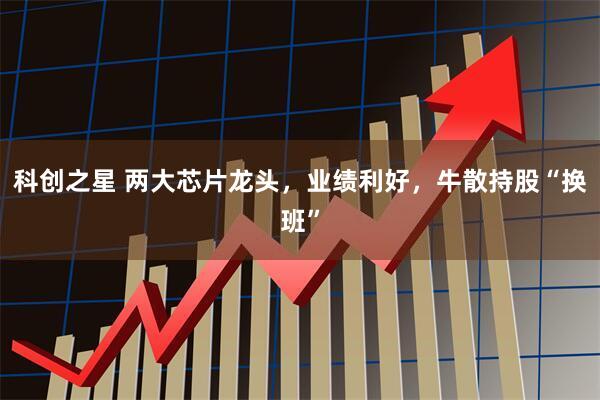 科创之星 两大芯片龙头，业绩利好，牛散持股“换班”